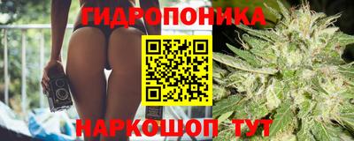 мяу мяу мука Бугуруслан