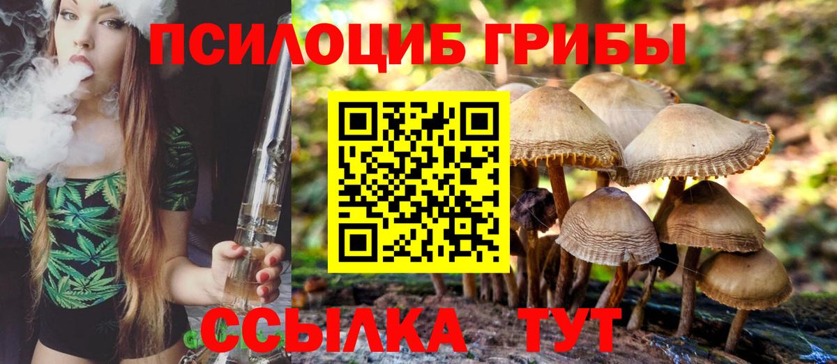 Галлюциногенные грибы прущие грибы Ульяновск