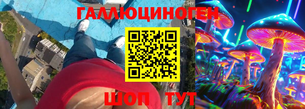 Ульяновск  купить   Вход с VPN  Галлюциногенные грибы Psilocybe 